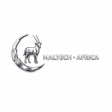 Maltech Africa Group logo